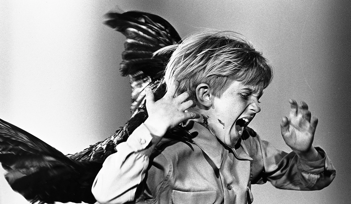 The Birds – Hitchcock / Club de Cine / 02 de diciembre