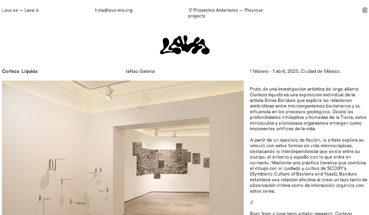 Los Mejores Sitios de Galerías en México / Club de Diseño Web / 11 de febrero